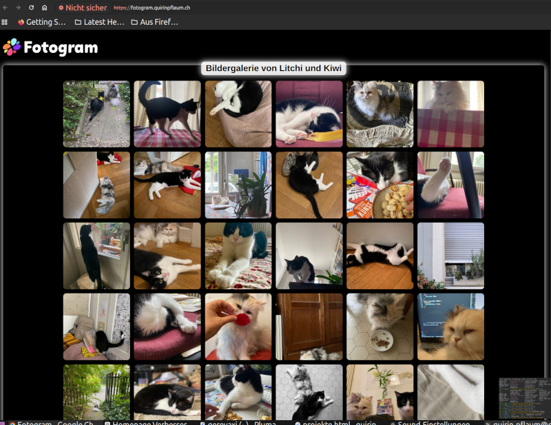 Screenshot des Fotogram Projekts